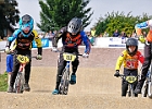 921H7964 bmx-tc-11-9-21